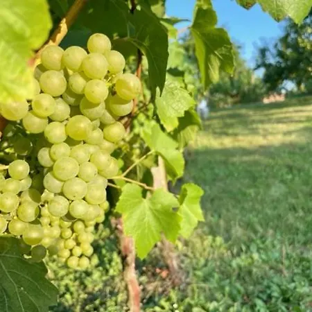 Ubytko Сasa de vacaciones Polesovice